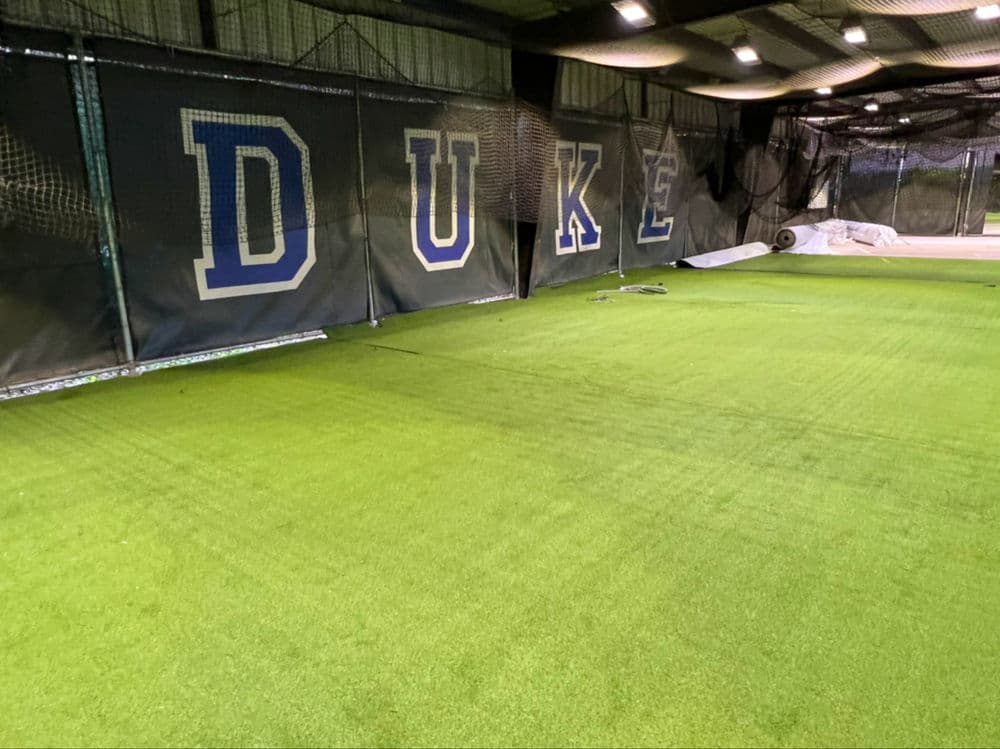 Sports Turf image
