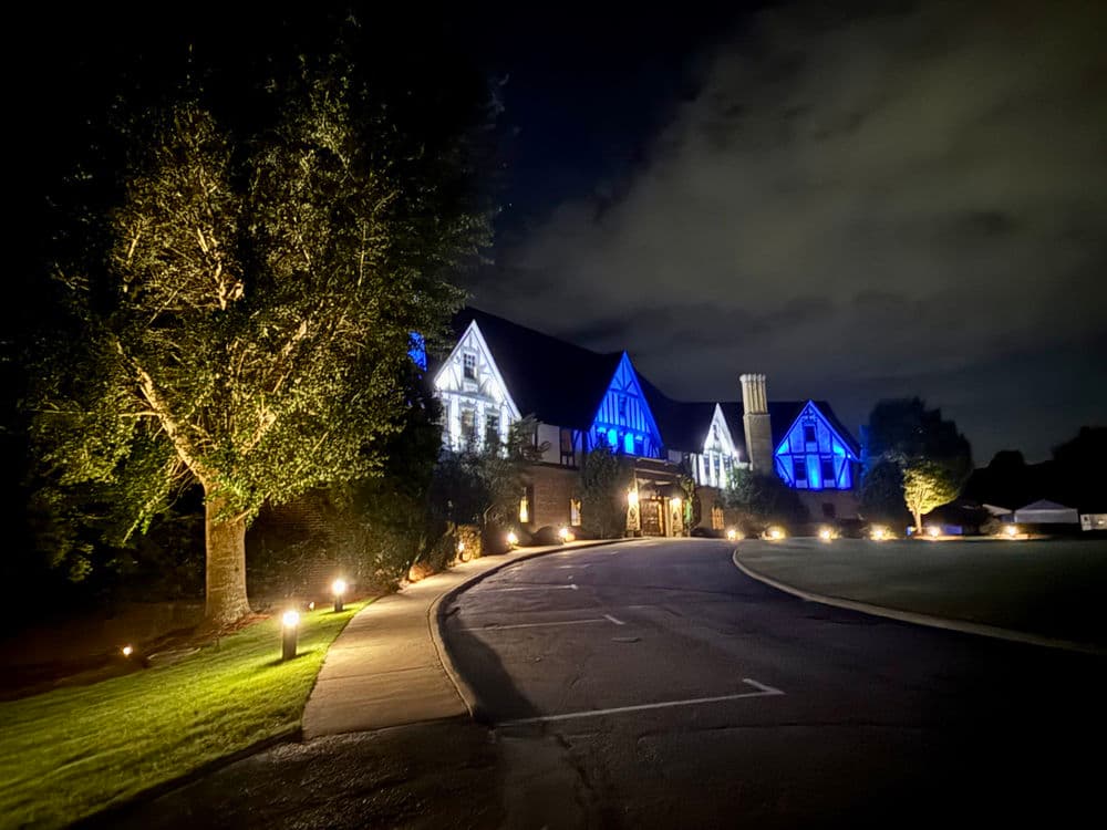 Custom Landscape Lighting image